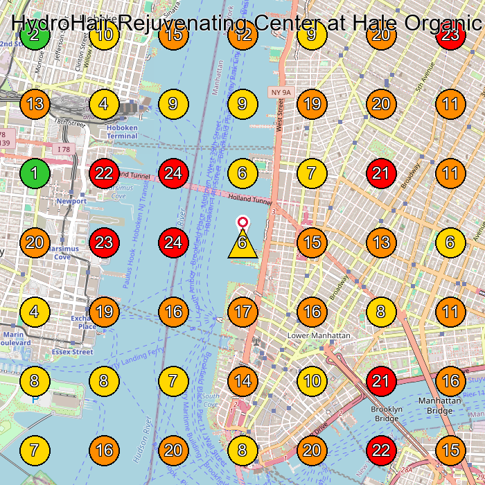 HydroHair Rejuvenating Center at Hale Organic Salon Hair Salon GeoGrid ranking map for New York NY